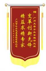 白云電氣集團(tuán)贈(zèng)送正睿咨詢變革創(chuàng)新先鋒，精益求精專家錦旗