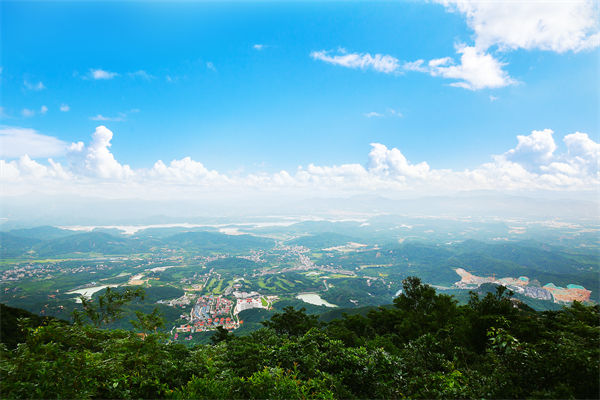 企業(yè)戰(zhàn)略飄在半空落地難，惠州戰(zhàn)略咨詢公司能錨定方向嗎？