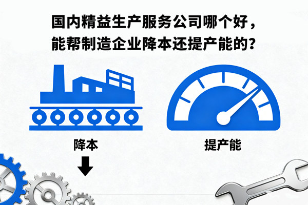 國內(nèi)精益生產(chǎn)服務(wù)公司哪個好，能幫制造企業(yè)降本還提產(chǎn)能的？