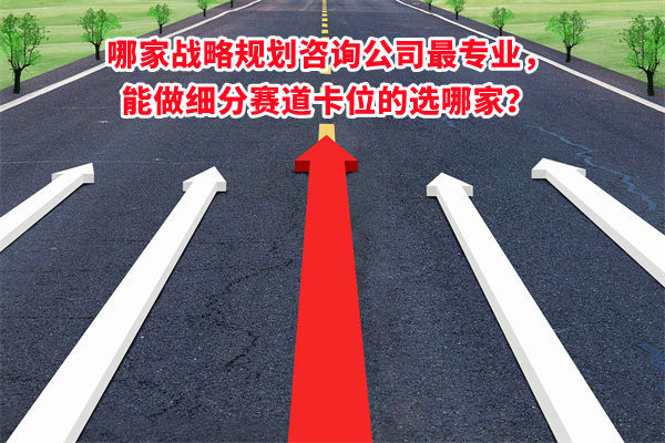 哪家戰(zhàn)略規(guī)劃咨詢公司最專業(yè)，能做細分賽道卡位的選哪家？